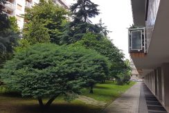 Vendita-Torino-Mirafiorinord-Sebastopoli20170606_114606