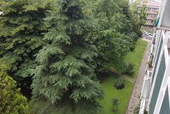 Vendita-Torino-Mirafiorinord-Sebastopoli20170606_114843