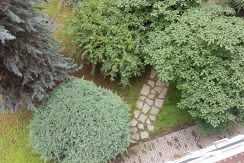 Vendita-Torino-Mirafiorinord-Sebastopoli20170606_114853