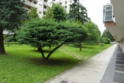 Vendita-Torino-Mirafiorinord-SebastopoliP1040640