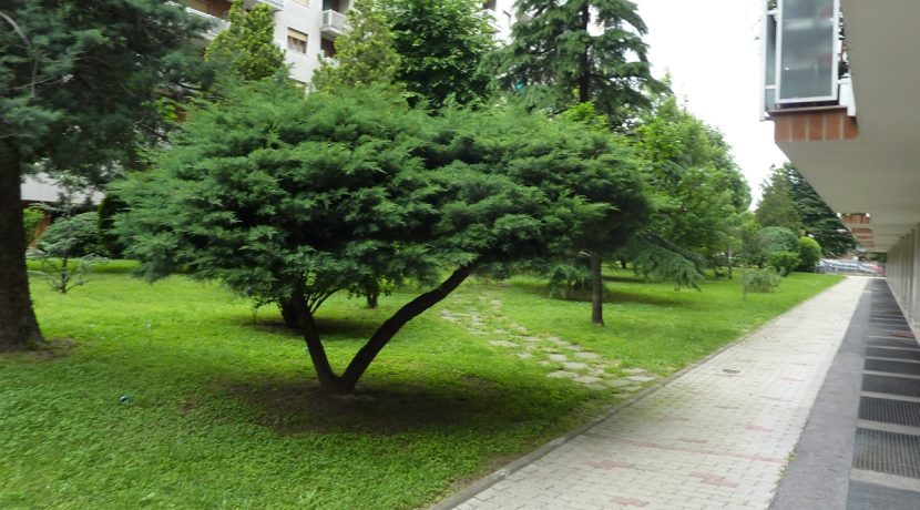 Vendita-Torino-Mirafiorinord-SebastopoliP1040640