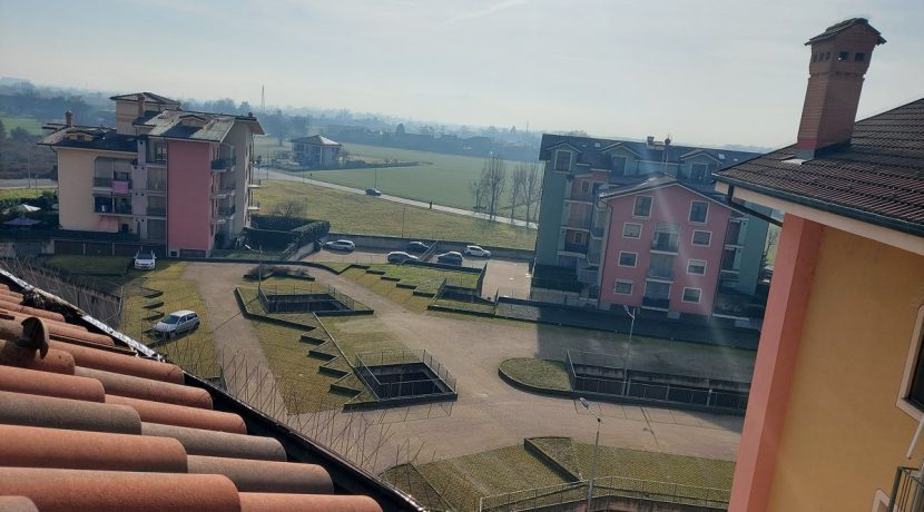 leini-viatiziano20260121_113833