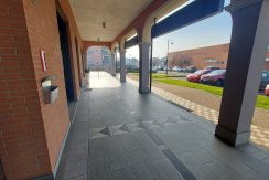 leini-viatiziano20260121_114253