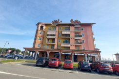 leini-viatiziano20260121_114511