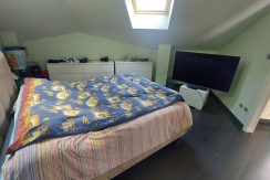 leini-viatiziano20260129_114325