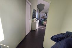 leini-viatiziano20260129_114606