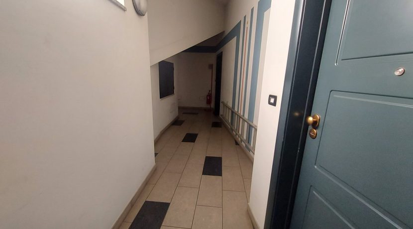 leini-viatiziano20260129_114922