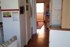 IMG-20260701-WA0011