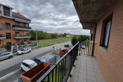 gerboledivolvera-via rivalta20260910_101311