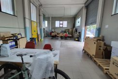 gerboledivolvera-via rivalta20260910_101725