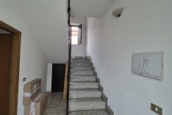 gerboledivolvera-via rivalta20260910_102712