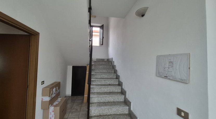 gerboledivolvera-via rivalta20260910_102712