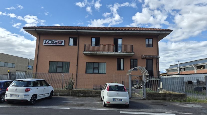 gerboledivolvera-via rivalta20260910_104448
