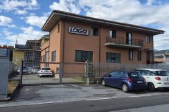 gerboledivolvera-via rivalta20260910_104506
